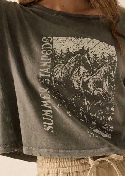Summer Stampede Cropped Horses Graphic Tee